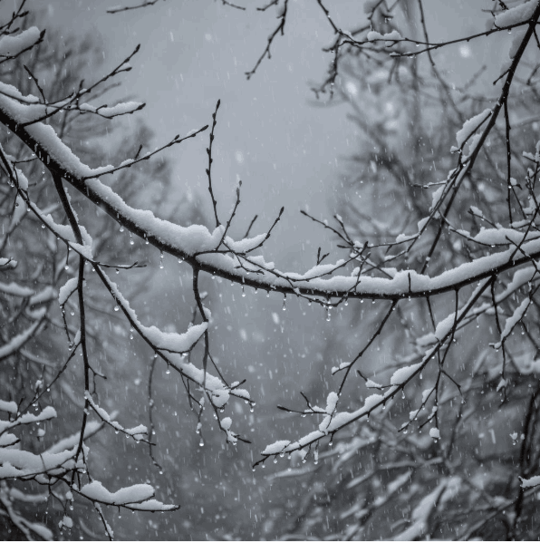 Холода пришли в Вологодскую область
