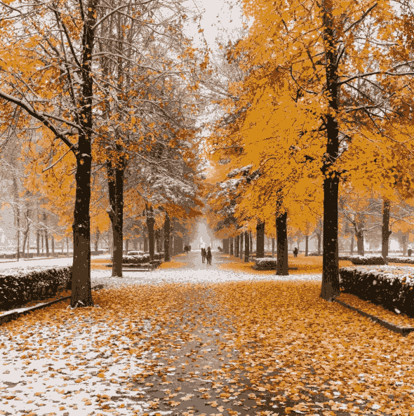 Первый снег ожидается в Вологодской области